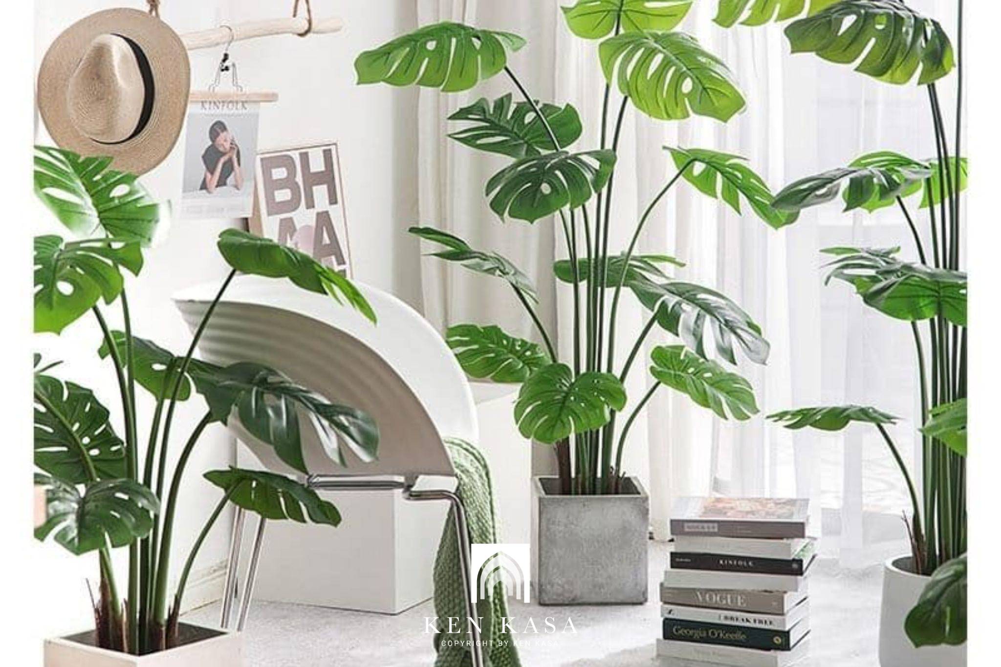 yếu tố c&acirc;y xanh khi thiết kế nội thất homestay diện t&iacute;ch nhỏ